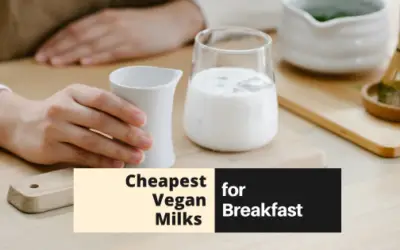 Cheap and Vegan-Friendly Milks that are Delicious to Consume for Morning Breakfast!