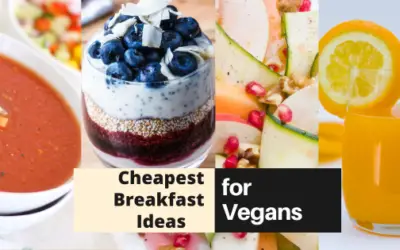 Budget-Friendly Vegan Breakfast Ideas with Pleasing Taste!