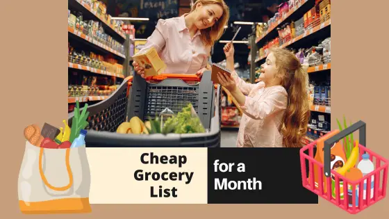 Cheapest Grocery List to Begin Your Shopping for a Month!
