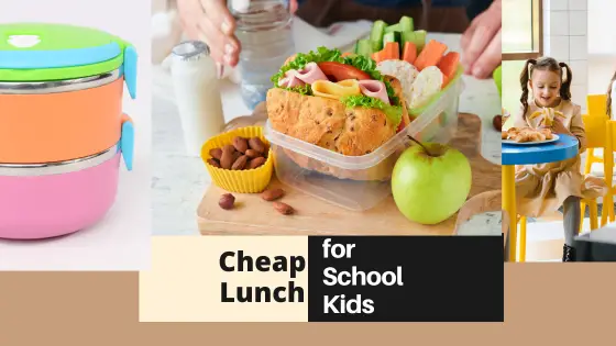 Prepare Budget-Friendly, Tasty Lunch for School Kids Everyday!