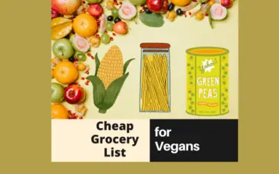 Budget-Friendly List of Groceries for Vegans to Begin Shopping!