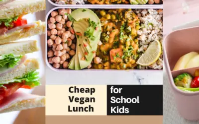 Your Kids will Love these Cheap and Tasty Vegan Dishes to have for Lunch!