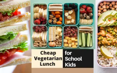 Delicious, Budget-Friendly Lunch Ideas for Vegetarian Kids!
