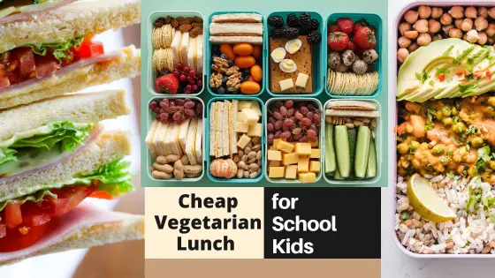 Delicious, Budget-Friendly Lunch Ideas for Vegetarian Kids!
