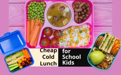 Tasty Cold Lunch Ideas on Budget to Pack for Your Kids’ Lunch!