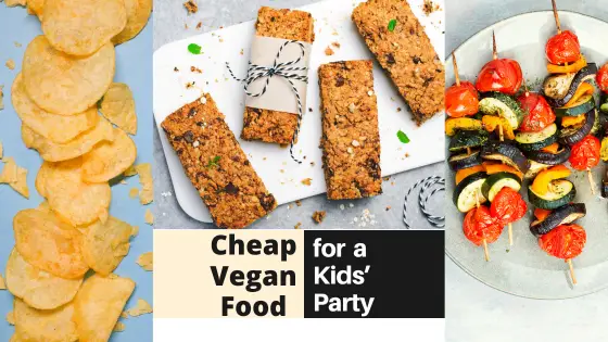 Cost-Effective Vegan Party Food for Kids with Delicious Taste!